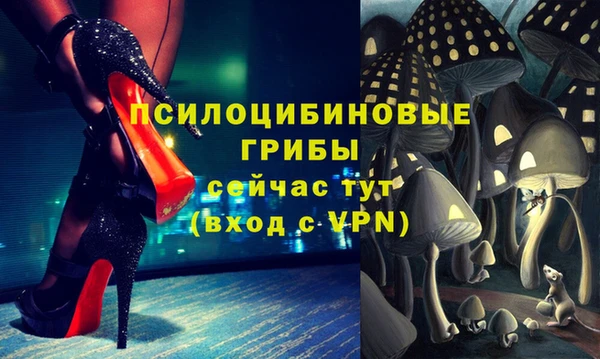 ALPHA-PVP Верея