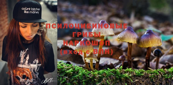 сатива Верхний Тагил