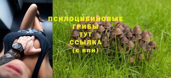индика Сатка