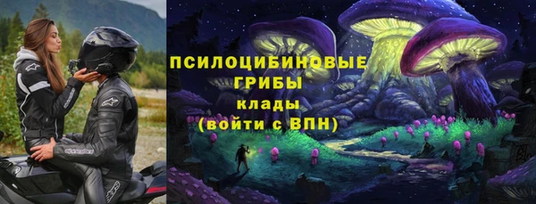 ALPHA-PVP Верея