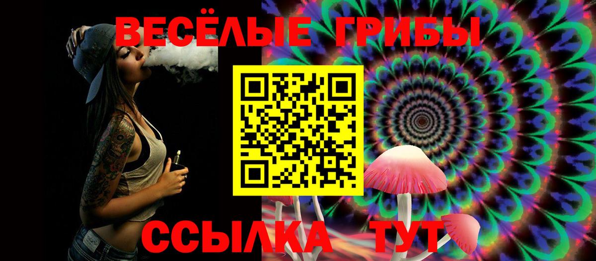 Псилоцибиновые грибы Cubensis  где купить   Псилоцибиновые грибы Magic Shrooms  Елец  Вход с VPN 