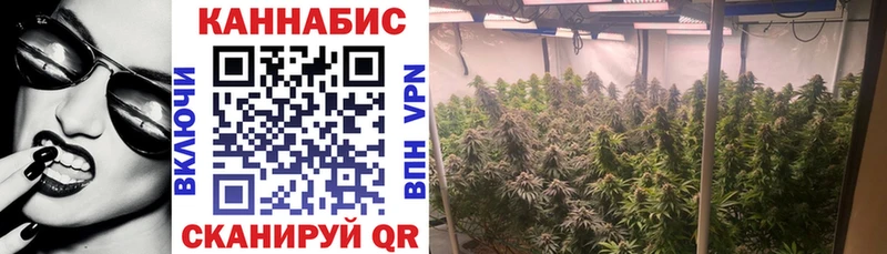 Конопля индика Елец
